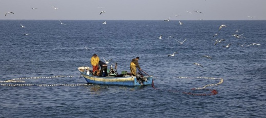 قطاع الصيد في تمسمان.. مشكلات متعددة وحلول مقترحة للنهوض به