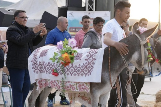 في مهرجان الحمار: ندوات علمية، جوائز مالية، تكريمات، فحوصات طبية، وعلاجات جراحية في مهرجان الحمار: ندوات علمية، جوائز مالية، تكريمات، فحوصات طبية، وعلاجات جراحية