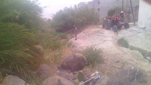 جمعية الفجر تطلق حملة لمحاربة الحشرات الضارة بجماعة بني سيدال الجبل جمعية الفجر تطلق حملة لمحاربة الحشرات الضارة بجماعة بني سيدال الجبل