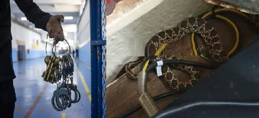 شاهد.. ظهور ثعبان داخل سجن مليلية المحتلة يثير الرعب شاهد.. ظهور ثعبان داخل سجن مليلية المحتلة يثير الرعب