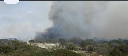 نيران غابة في بني شيكر تنتشر بسرعة والسكان يفشلون في إخمادها نيران غابة في بني شيكر تنتشر بسرعة والسكان يفشلون في إخمادها