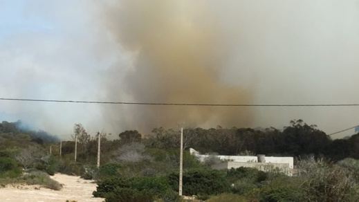 نيران غابة في بني شيكر تنتشر بسرعة والسكان يفشلون في إخمادها نيران غابة في بني شيكر تنتشر بسرعة والسكان يفشلون في إخمادها