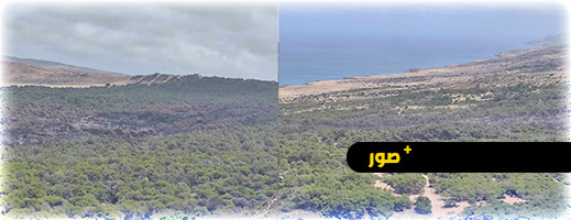 مجهودات السلطات المختصة تمكن من إخماد حريق غابة بني شيكر مجهودات السلطات المختصة تمكن من إخماد حريق غابة بني شيكر
