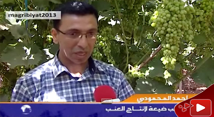 القناة الأولى تُسلط الضوء على استثمار الجالية في إنتاج العنب بتزطوطين القناة الأولى تُسلط الضوء على استثمار الجالية في إنتاج العنب بتزطوطين