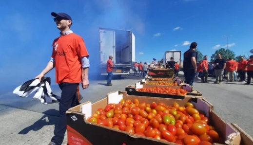 فلاحون فرنسيون يهاجمون شاحنات طماطم قادمة من المغرب