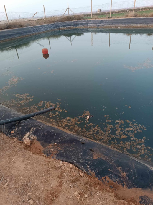 صور مأساة بالناظور.. وفاة طفل في صهريج مياه بأركمان صور مأساة بالناظور.. وفاة طفل في صهريج مياه بأركمان