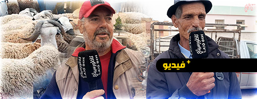 عيد الأضحى في إقليم الناظور.. هذه أسعار الأضاحي بسوق أركمان عيد الأضحى في إقليم الناظور.. هذه أسعار الأضاحي بسوق أركمان
