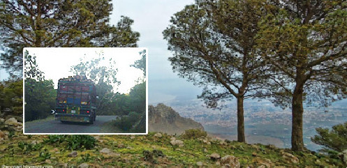 لا تشمل غابات الناظور.. 84 مليون أورو من البنك الإفريقي لتنمية المناطق الغابوية بالمغرب لا تشمل غابات الناظور.. 84 مليون أورو من البنك الإفريقي لتنمية المناطق الغابوية بالمغرب