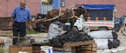 على بعد أسبوعين من عيد الأضحى.. سعر "الفاخر" يرتفع بدرهمين على بعد أسبوعين من عيد الأضحى.. سعر "الفاخر" يرتفع بدرهمين