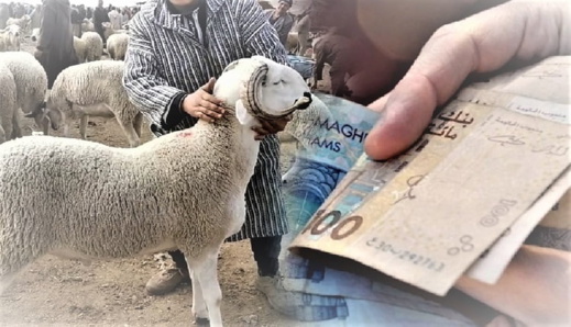 بسبب الأزمة.. 48% من المغاربة يفضلون إلغاء عيد الأضحى بسبب الأزمة.. 48% من المغاربة يفضلون إلغاء عيد الأضحى