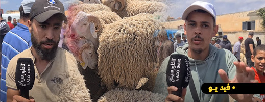 شاهد.. مواطنون وتجار ساخطون على غلاء أسعار الأضاحي بإمزورن شاهد.. مواطنون وتجار ساخطون على غلاء أسعار الأضاحي بإمزورن