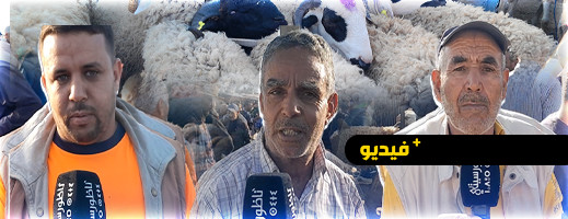 سوق أركمان.. أسعار الأضاحي تحلق عاليا وسط غضب المواطنين من تلاعب سوق أركمان.. أسعار الأضاحي تحلق عاليا وسط غضب المواطنين من تلاعب