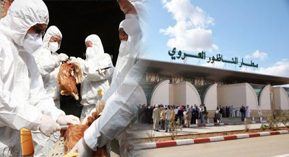 أنفلونزا الطيور يعلن حالة إستنفار بالمنافذ الحدودية بينها مطار العروي أنفلونزا الطيور يعلن حالة إستنفار بالمنافذ الحدودية بينها مطار العروي