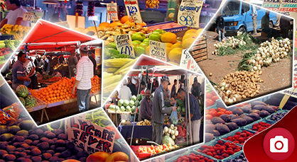 تمسمان: رواج تجاري بأسواق المنطقة رافقه ارتفاع في أسعار المنتجات الفلاحية والغذائية