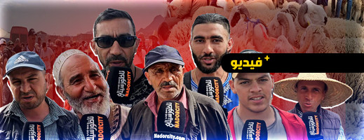 على بعد يومين من عيد الأضحى.. هذه أسعار الأضاحي بسوق الدريوش على بعد يومين من عيد الأضحى.. هذه أسعار الأضاحي بسوق الدريوش