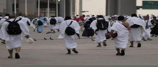 السلطات السعودية تطرد أكثر من ربع مليون حاج لهذا السبب السلطات السعودية تطرد أكثر من ربع مليون حاج لهذا السبب