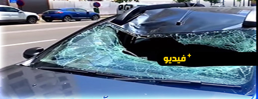 كاد أن يتسبب بكارثة.. كبش يقفز من الطابق السابع ويحطم سيارة كاد أن يتسبب بكارثة.. كبش يقفز من الطابق السابع ويحطم سيارة