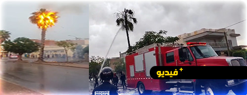 صاعقة رعدية تتسبب في إشعال النار بالنخيل في وجدة صاعقة رعدية تتسبب في إشعال النار بالنخيل في وجدة