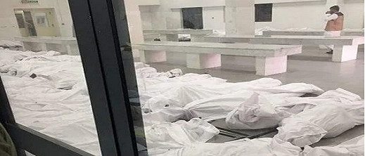 تقرير صادم.. 550 حاجا بينهم مغاربة يفارقون الحياة لهذا السبب تقرير صادم.. 550 حاجا بينهم مغاربة يفارقون الحياة لهذا السبب