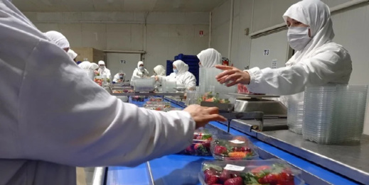 مئات الشركات الإسبانية تنقل أنشطتها الإنتاجية إلى المغرب مئات الشركات الإسبانية تنقل أنشطتها الإنتاجية إلى المغرب