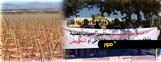 كارثة زراعية في الناظور.. فلاحو سهل كرت وصبرة يعتزمون القيام بهذه الخطوة كارثة زراعية في الناظور.. فلاحو سهل كرت وصبرة يعتزمون القيام بهذه الخطوة