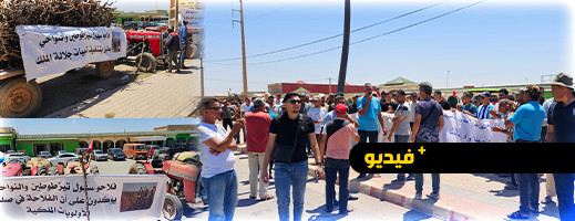 فلاحو إقليم الناظور ينفذون اعتصام إنذاري احتجاجا على قطع مياه السقي ويلوحون بالتصعيد فلاحو إقليم الناظور ينفذون اعتصام إنذاري احتجاجا على قطع مياه السقي ويلوحون بالتصعيد