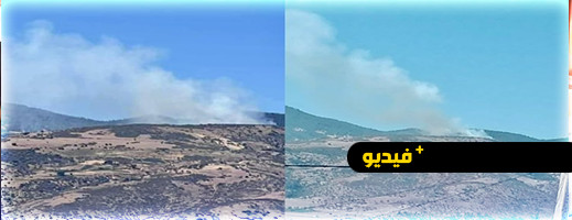 فرق الإطفاء تسارع الزمن لإخماد حريق غابوي ضخم بالحسيمة فرق الإطفاء تسارع الزمن لإخماد حريق غابوي ضخم بالحسيمة