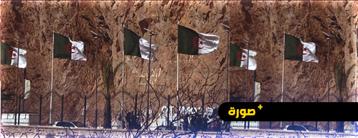 قبالة السعيدية.. الجزائر تضع سياجا بمنطقة “بين لجراف” نقطة تلاقي العائلات قبالة السعيدية.. الجزائر تضع سياجا بمنطقة “بين لجراف” نقطة تلاقي العائلات