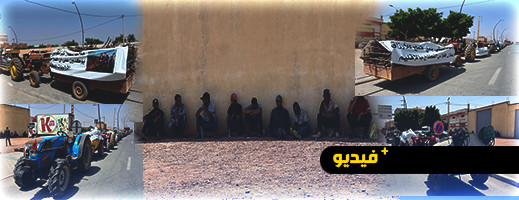 على متن جراراتهم.. سلطات الناظور تمنع مسيرة لفلاحي سهل كرت وصبرا نحو العمالة على متن جراراتهم.. سلطات الناظور تمنع مسيرة لفلاحي سهل كرت وصبرا نحو العمالة