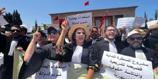 المحامون يتجمهرون بالعاصمة للتنديد بتمرير مشروع قانون المسطرة المدنية
