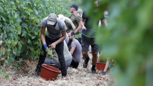 فرنسا تستعد لاستقطاب آلاف العمال المغاربة فرنسا تستعد لاستقطاب آلاف العمال المغاربة