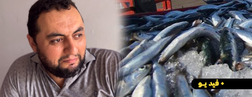 هذا هو سبب ارتفاع سعر الكيلوغرام الواحد من السردين لـ 100 درهم للناظور هذا هو سبب ارتفاع سعر الكيلوغرام الواحد من السردين لـ 100 درهم للناظور