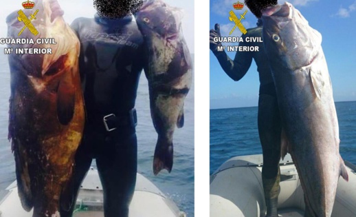 الأمن الإسباني يحجز كميات هامة من الأسماك المهربة من الناظور الأمن الإسباني يحجز كميات هامة من الأسماك المهربة من الناظور