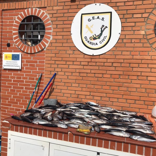 الأمن الإسباني يحجز كميات هامة من الأسماك المهربة من الناظور الأمن الإسباني يحجز كميات هامة من الأسماك المهربة من الناظور