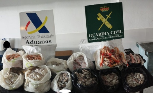 الأمن الإسباني يحجز كميات هامة من الأسماك المهربة من الناظور الأمن الإسباني يحجز كميات هامة من الأسماك المهربة من الناظور