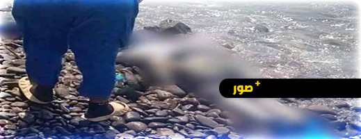 العثور على جثتين متحللتين على شاطئ "الحرش" بجماعة تروكوت العثور على جثتين متحللتين على شاطئ "الحرش" بجماعة تروكوت