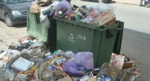 العثور على جمجمة رأس حمار في حاوية للنفايات ببني أنصار العثور على جمجمة رأس حمار في حاوية للنفايات ببني أنصار