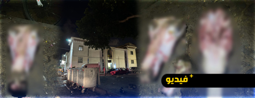 العثور على رأس وبقايا حمار مذبوح بمدينة بني انصار يثير الهلع والإستنكار لدى الساكنة العثور على رأس وبقايا حمار مذبوح بمدينة بني انصار يثير الهلع والإستنكار لدى الساكنة