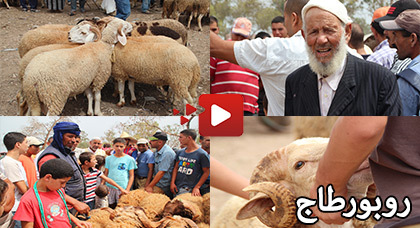 سوق سلوان.. غلاء في أثمنة الأضحية وإقبال ضعيف من المواطنين سوق سلوان.. غلاء في أثمنة الأضحية وإقبال ضعيف من المواطنين