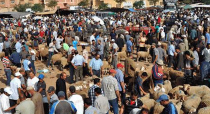 سوق زايو يسجل وفرة أضاحي العيد والأسر تستاء من حمى الأسعار سوق زايو يسجل وفرة أضاحي العيد والأسر تستاء من حمى الأسعار