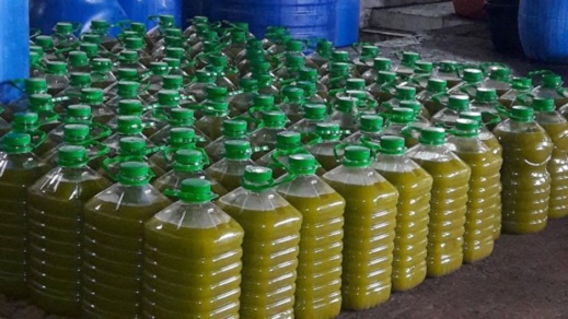 مخاوف من حدوث اختلالات مع احتمال اللجوء لاستيراد زيت الزيتون من الخارج مخاوف من حدوث اختلالات مع احتمال اللجوء لاستيراد زيت الزيتون من الخارج