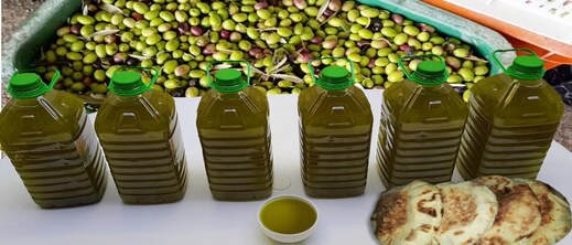 هل يصل سعر زيت الزيتون إلى 150 درهما؟ هل يصل سعر زيت الزيتون إلى 150 درهما؟