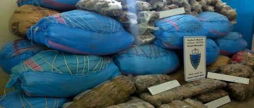 جمارك الناظور تحبط تهريب 700 كيلوغرام من "الطابا" و83 سنبلة "كيف" جمارك الناظور تحبط تهريب 700 كيلوغرام من "الطابا" و83 سنبلة "كيف"