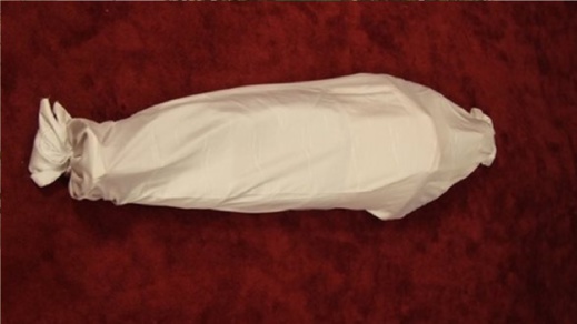 شابة تحنط جثة والدتها في الملح لاخفاء خبر وفاتها شابة تحنط جثة والدتها في الملح لاخفاء خبر وفاتها