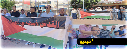 ساكنة الناظور تتضامن مع الشعب الفلسطيني في وقفة احتجاجية ساكنة الناظور تتضامن مع الشعب الفلسطيني في وقفة احتجاجية