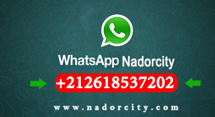 الأن يمكنكم التواصل مع موقع ناظورسيتي عبر الواتساب الأن يمكنكم التواصل مع موقع ناظورسيتي عبر الواتساب