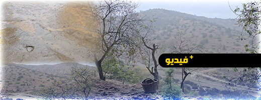 أمطار الخير تتهاطل على بلدة إيصوفيين بالحسيمة أمطار الخير تتهاطل على بلدة إيصوفيين بالحسيمة