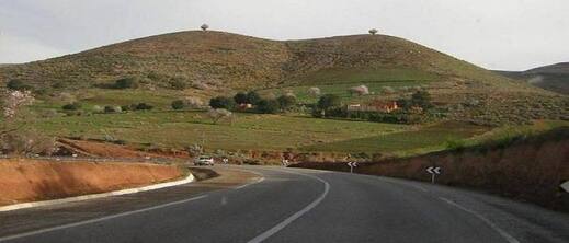 الخنزير البري يهدد المسافرين على الطريق الساحلية بين الناظور والسعيدية الخنزير البري يهدد المسافرين على الطريق الساحلية بين الناظور والسعيدية