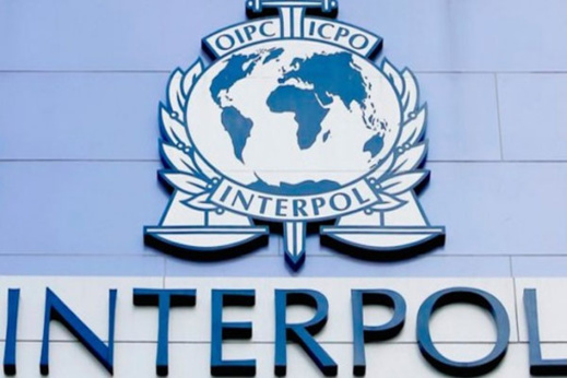 توقيف 66 شخصا في عملية لمكافحة الإرهاب نسقها "الإنتربول" في 14 دولة من بينها المغرب توقيف 66 شخصا في عملية لمكافحة الإرهاب نسقها "الإنتربول" في 14 دولة من بينها المغرب