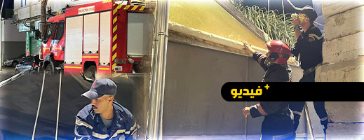 تدخل إنساني للوقاية المدنية ينقذ قطة عالقة في عمارة بالناظور تدخل إنساني للوقاية المدنية ينقذ قطة عالقة في عمارة بالناظور